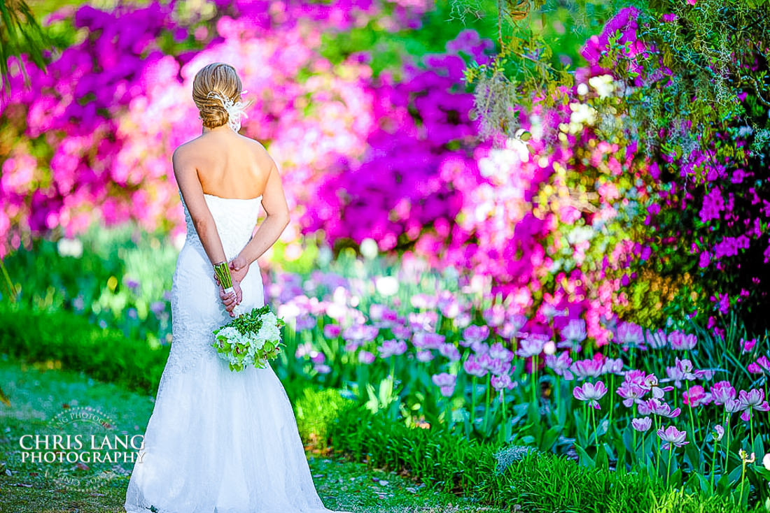 airlie gardens springbridal portrait - Azaelas - floweres - bridal portrait photography - photographers - bridal portraits - bride - wedding dress - ideas - wilmington nc