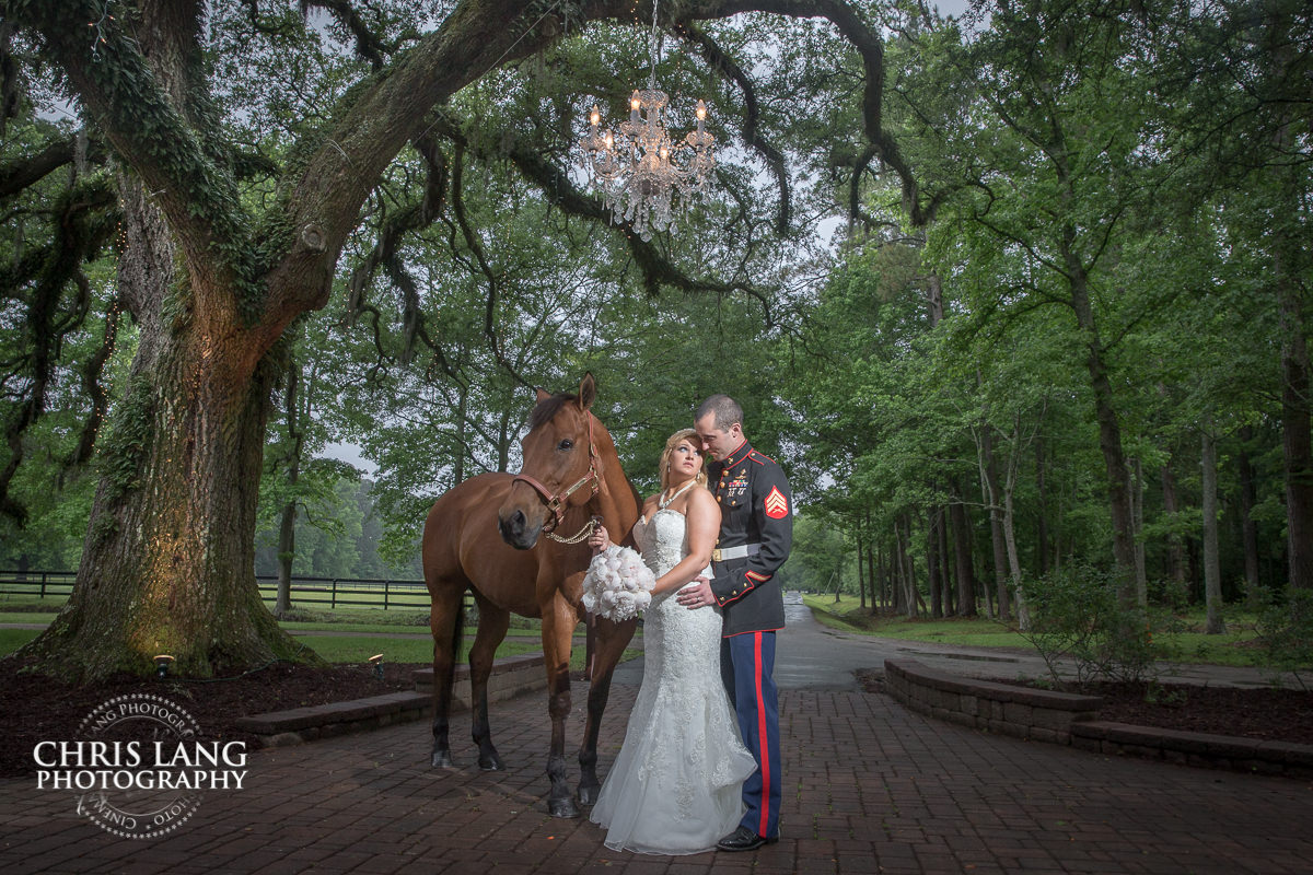 horse with bride & groom - bride & groom photo - bride & groom photo ideas - bride & groom photography - wilmington  nc wedding  wedding photography