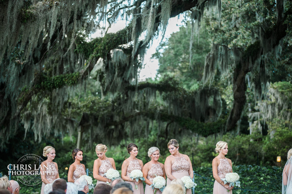 Wedding ceremony photo - Wedding ceremonies - bride - groom - bridal party - wedding ceremony photography - ideas - Airlie Gardens - Wilmington NC