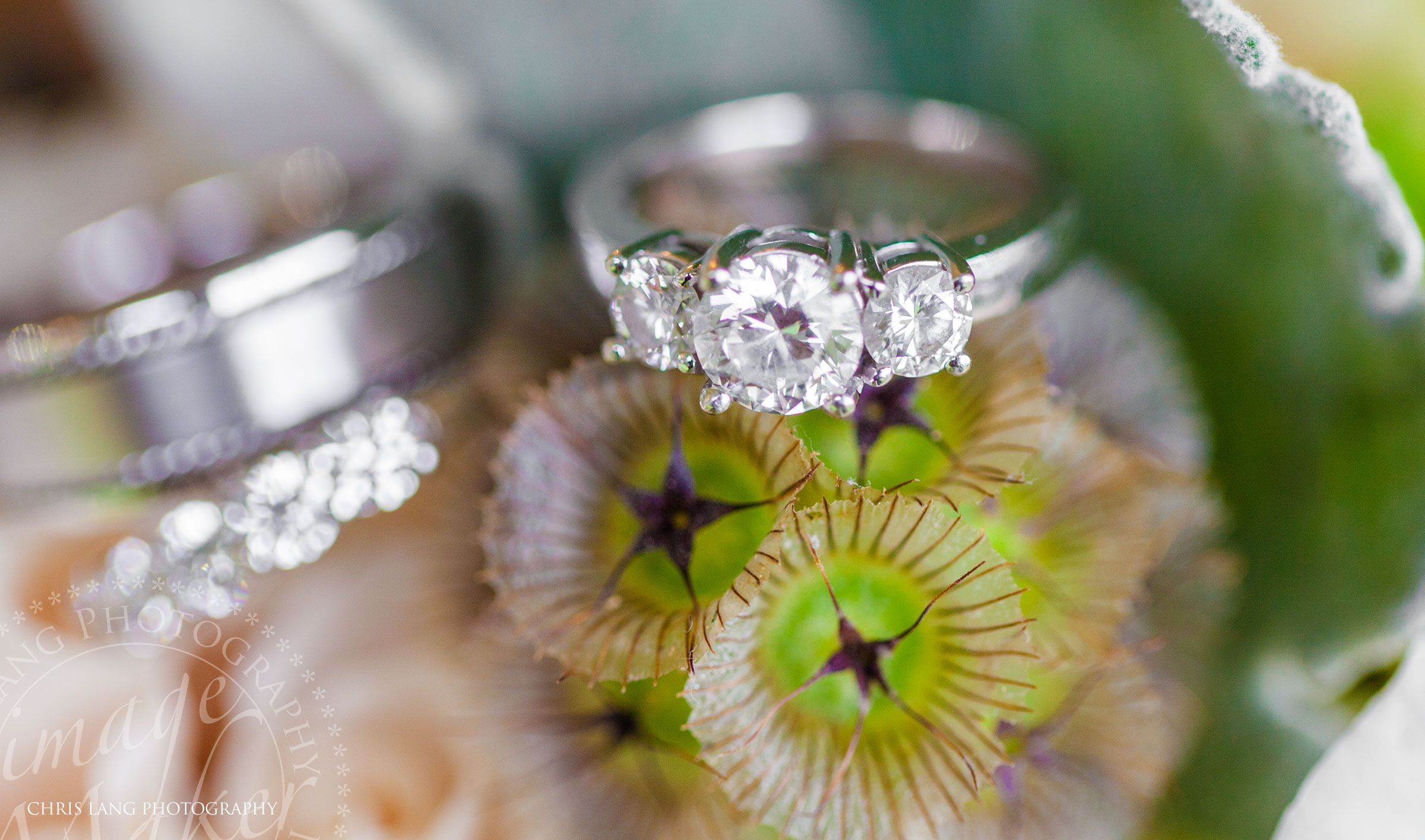 Wedding Picture of wedding rings on flowers wedding picture ideas. Wilmington NC Photographer