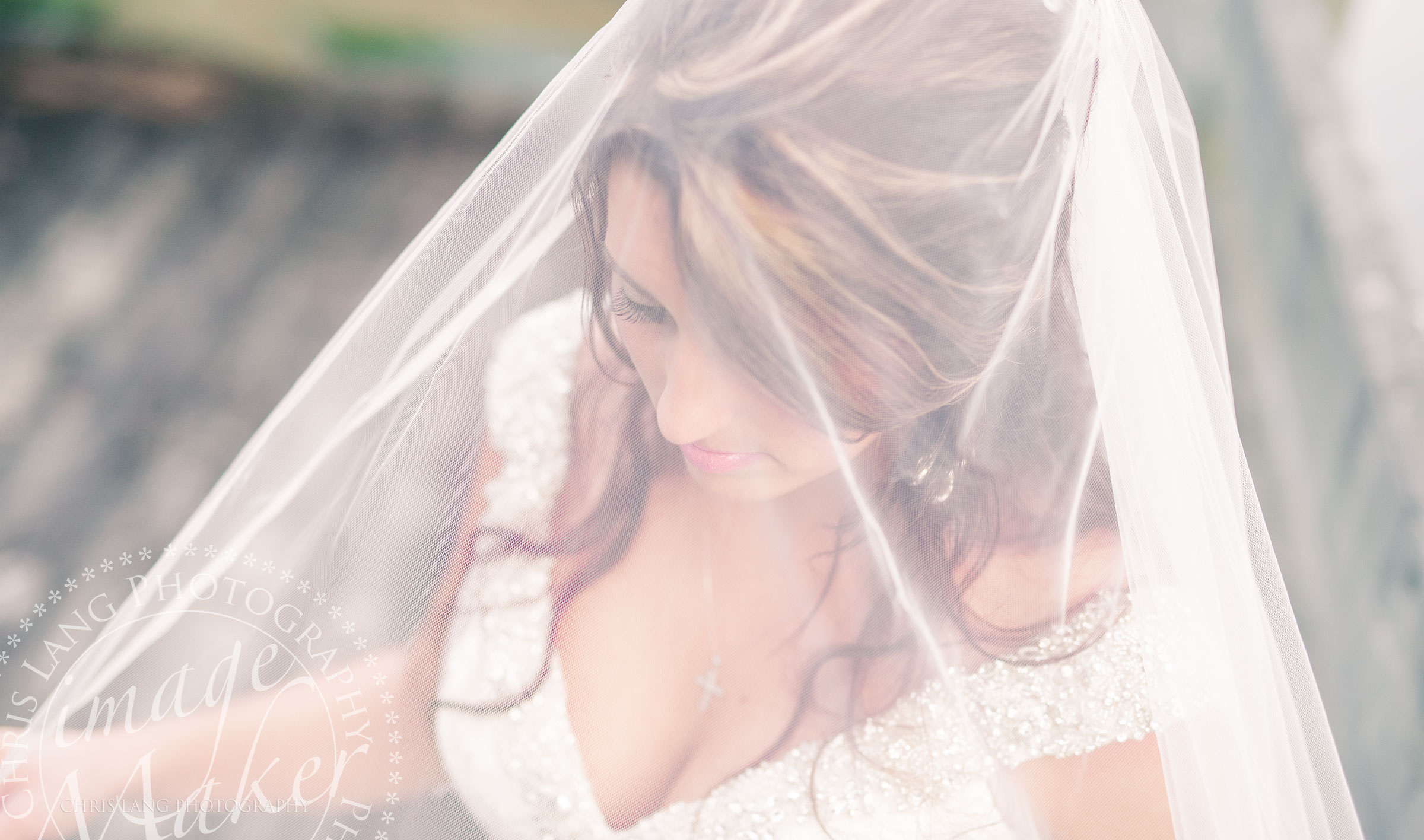 Bridal picture with a bride under her wedding vail. Bridal pictrure ideas. Wilmington NC Photographer