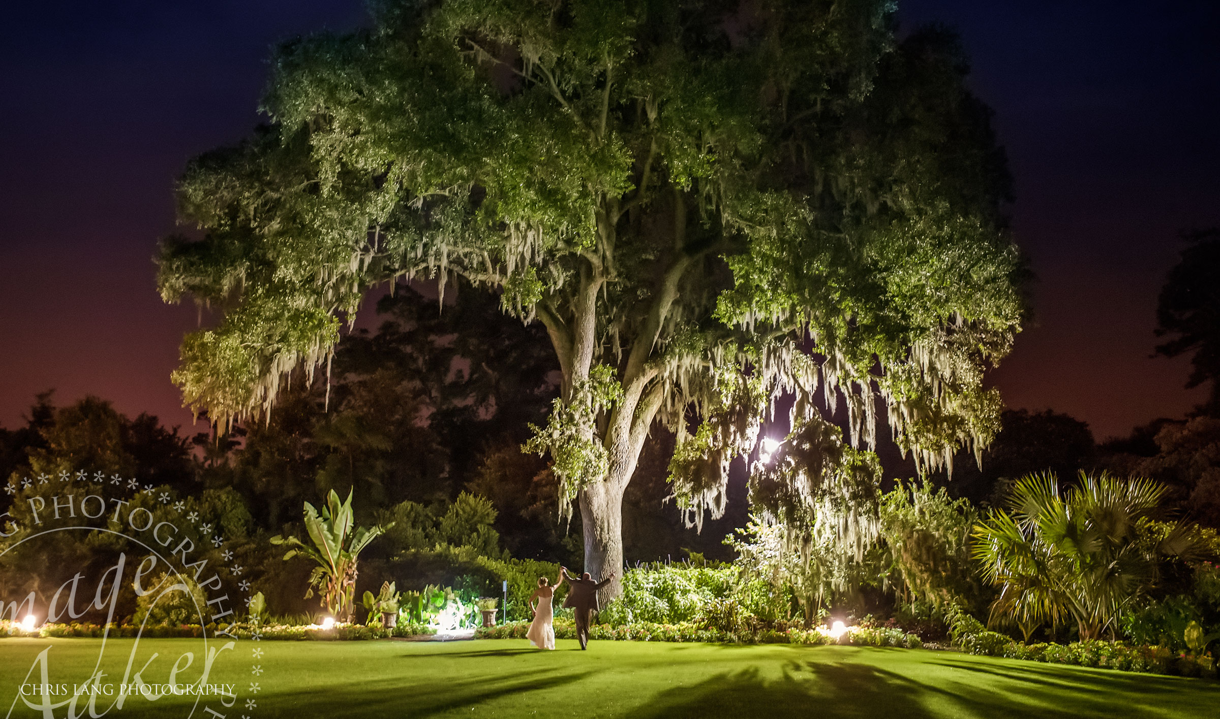 Night time-Wedding-Picture-of Wedding-Couple-in-Front-Of-the-large-oak-at-Airlie-Gardens-Wedding Picture Ideas- Wilmington Weddings