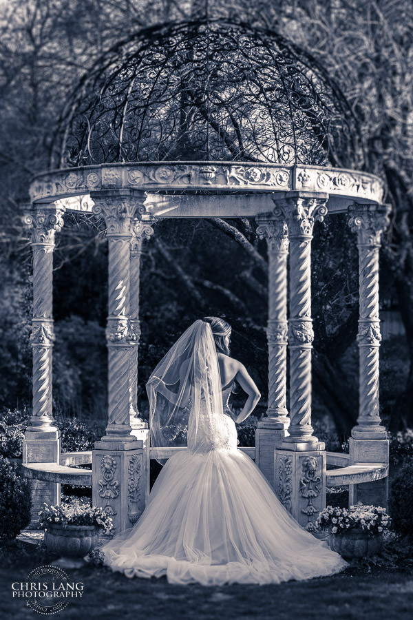 Fine art wedding photography-  Photo of bride  - wedding dress - fine art wedding photo style - chris lang photography